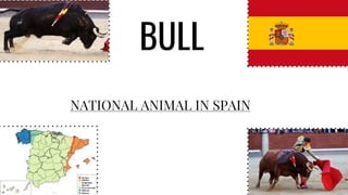 BULL
NATIONAL ANIMAL IN SPAIN
 