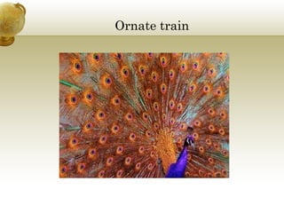 Ornate train

 