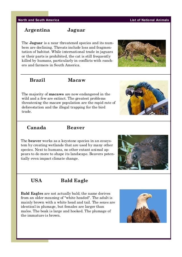 National Animals Booklet