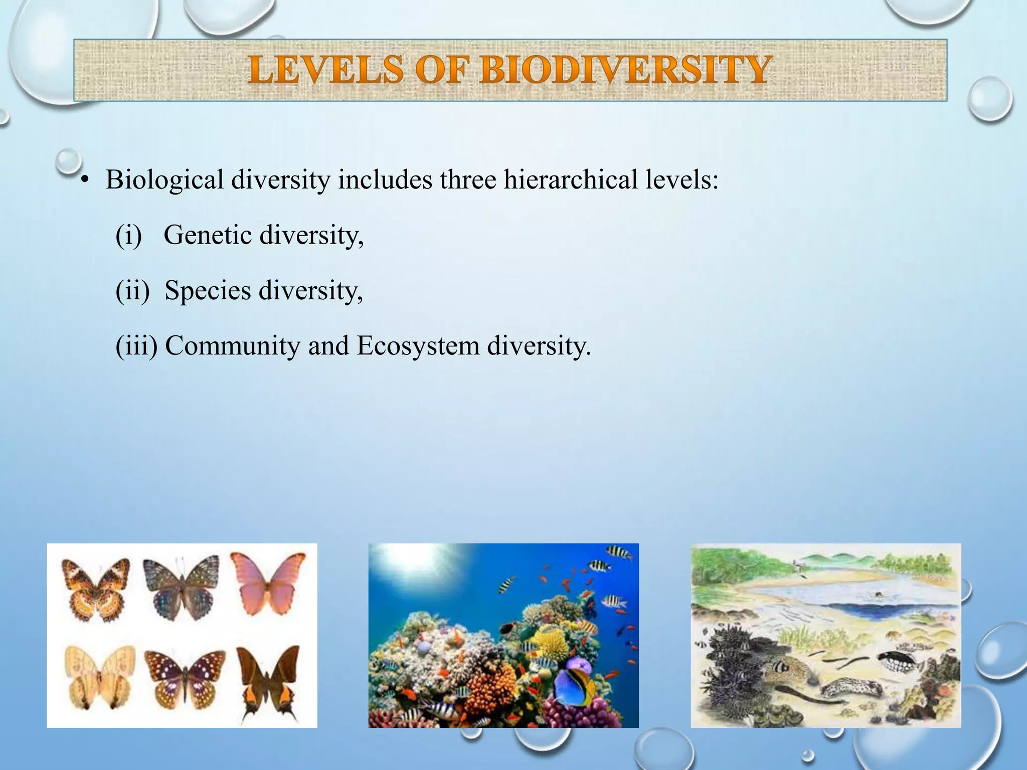 • Biological diversity includes three hierarchical levels:
(i) Genetic diversity,
(ii) Species diversity,
(iii) Community and Ecosystem diversity.
 