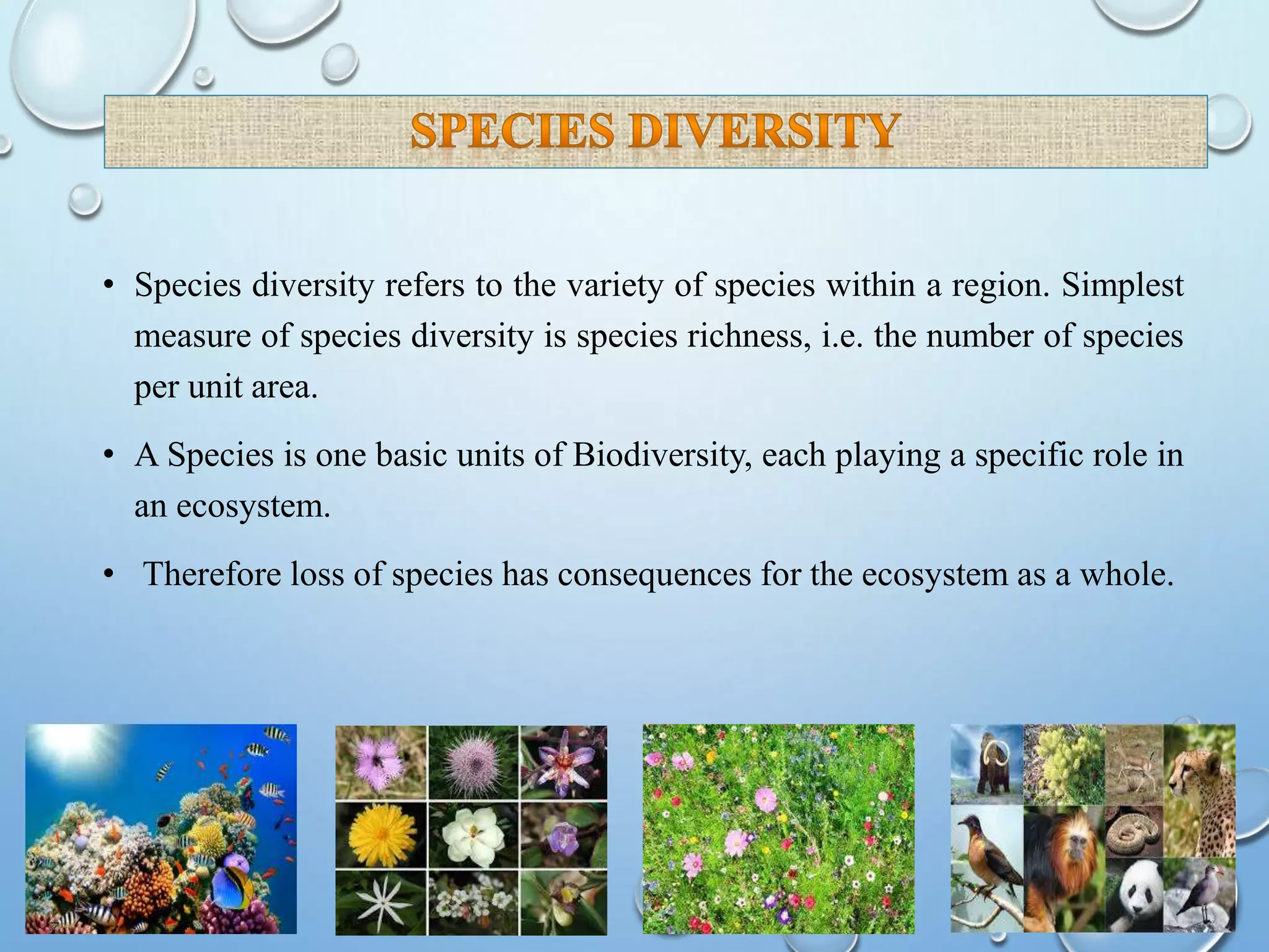 • Species diversity refers to the variety of species within a region. Simplest
measure of species diversity is species richness, i.e. the number of species
per unit area.
• A Species is one basic units of Biodiversity, each playing a specific role in
an ecosystem.
• Therefore loss of species has consequences for the ecosystem as a whole.
 