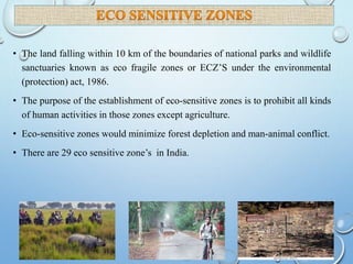National biodiversity protection initiatives | PPTX