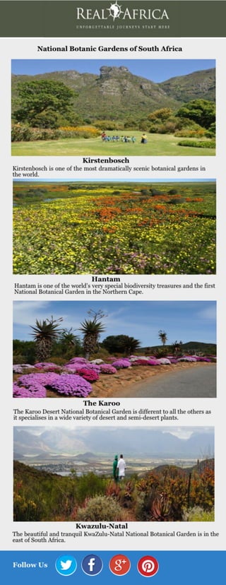 National Botanic Gardens of South Africa