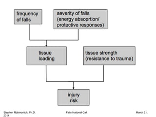 Stephen Robinovitch, Ph.D. Falls National Call March 21,
2014
 
