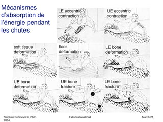 Stephen Robinovitch, Ph.D. Falls National Call March 21,
2014
Mécanismes
d’absorption de
l’énergie pendant
les chutes
 