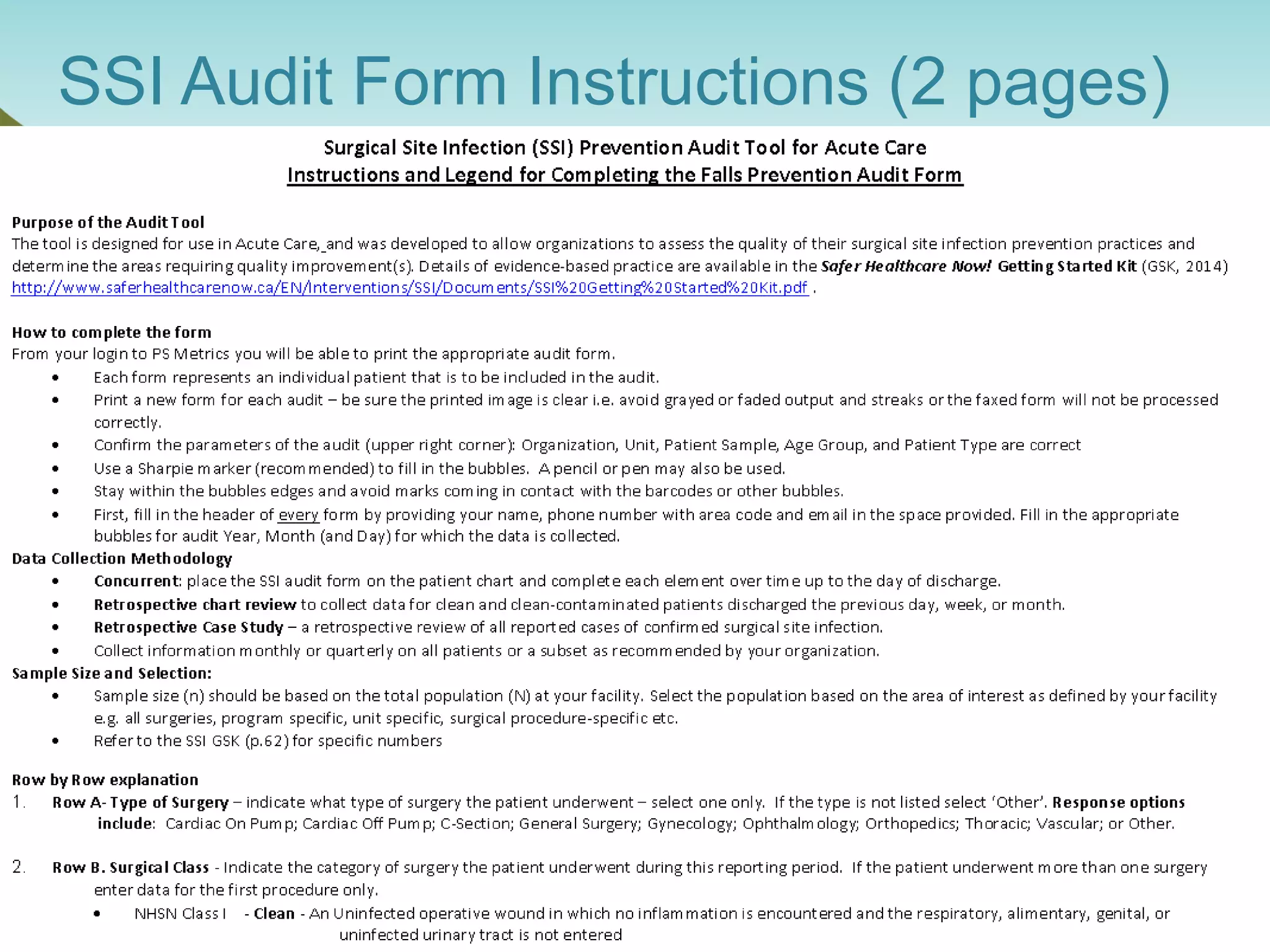 SSI Audit Form Instructions (2 pages)
 