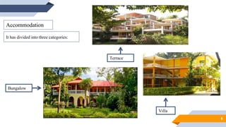 6
Accommodation
It has divided into three categories:
Terrace
Villa
Bungalow
 