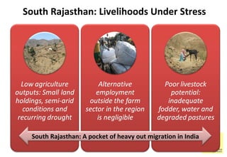South Rajasthan: Livelihoods Under Stress South Rajasthan: A pocket of heavy out migration in India 