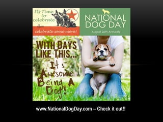 www.NationalDogDay.com – Check it out!!
 