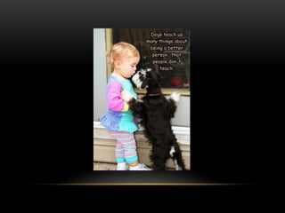 National dog day 2013