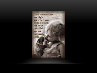 National dog day 2013