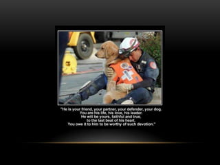 National dog day 2013