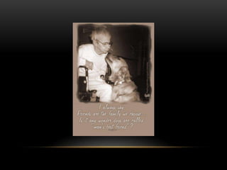 National dog day 2013