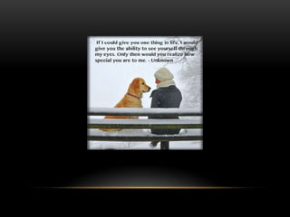 National dog day 2013