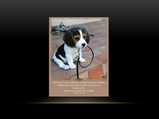 National dog day 2013