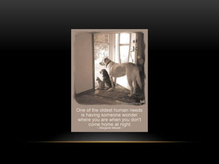 National dog day 2013