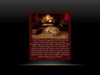 National dog day 2013