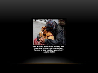 National dog day 2013