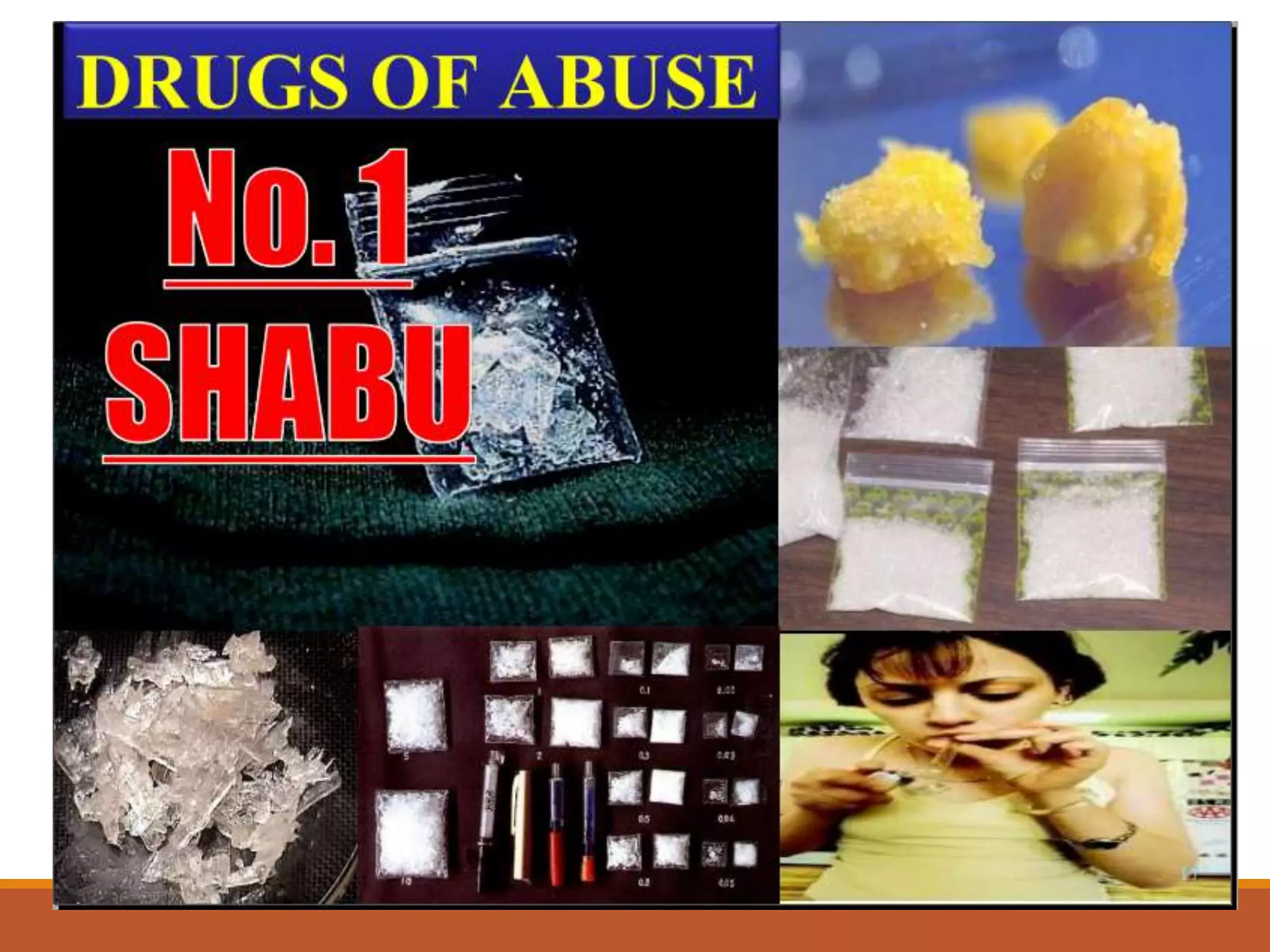 National Drug Education Program (NDEP) 2022.pptx