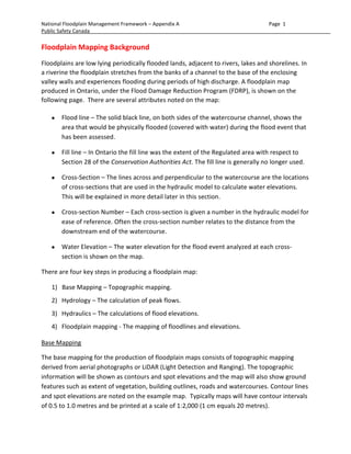 National Floodplain Mapping Assessment - Final Report | PDF