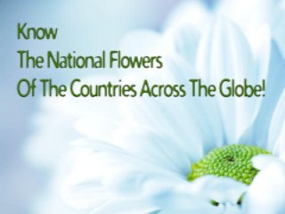 National Flowers of Countries.pdf