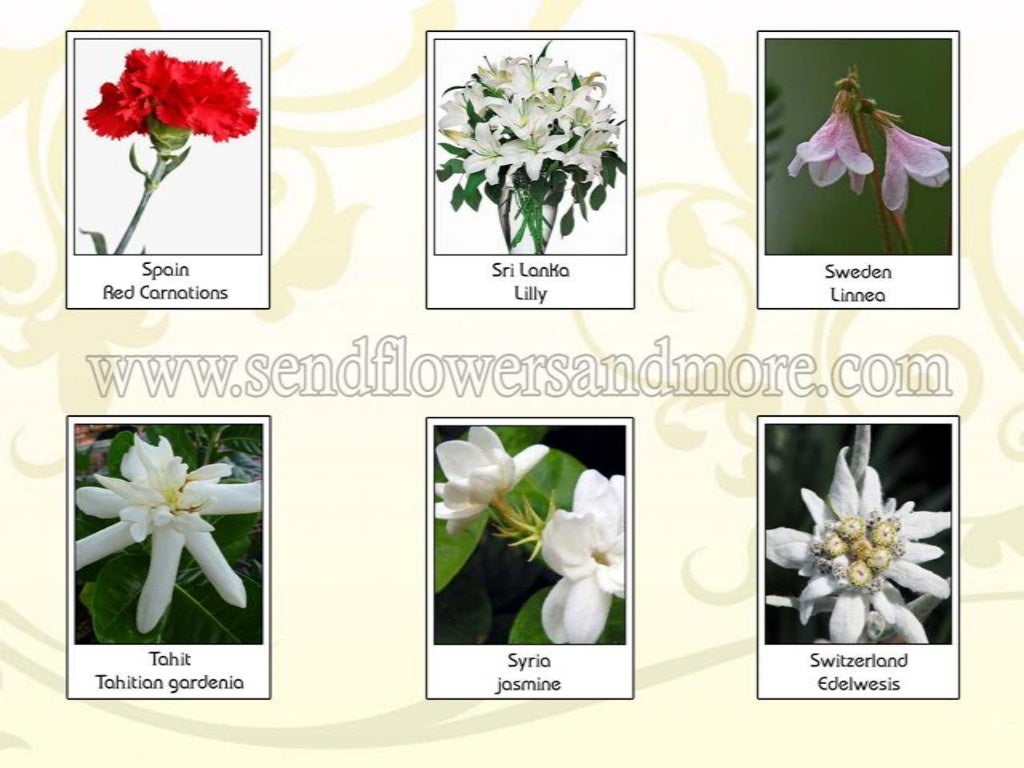 National Flowers of Countries.pdf