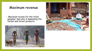 Maximum revenue
• Maximum income for the tribal
peoples/ man who is depending the
forest and forest products.
 