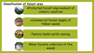 Classification of forest area
Protected forest-improvement of
climatic condition
Commercial forest-supply of
timber woods
Pasture lands-cattle rearing
Minor forests-collection of fire
woods
 