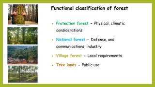 Functional classification of forest
 Protection forest - Physical, climatic
considerations
 National forest - Defense, and
communications, industry
 Village forest - Local requirements
 Tree lands - Public use
 