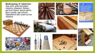 • Mushrooming of industries:
Saw mills, pulp and paper
industry, plywood, Veneer,
particle board, match splits,
sport goods, agriculture
implements and construction
industry
 