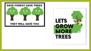 national forest policy.pptx