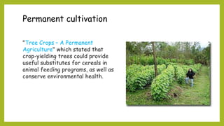 Permanent cultivation
"Tree Crops – A Permanent
Agriculture" which stated that
crop-yielding trees could provide
useful substitutes for cereals in
animal feeding programs, as well as
conserve environmental health.
 