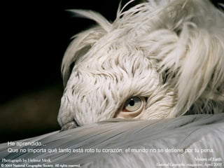 He aprendido... Que no importa qué tanto está roto tu corazón, el mundo no se detiene por tu pena.  