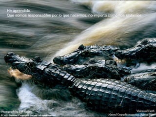 He aprendido...
Que somos responsables por lo que hacemos, no importa cómo nos sintamos.
 