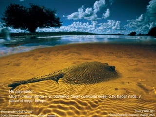 He aprendido...
Que mi mejor amigo y yo podemos hacer cualquier cosa, o no hacer nada, y
pasar el mejor tiempo.
 