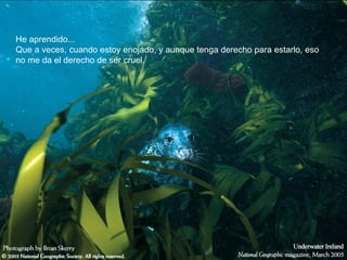 He aprendido...
Que a veces, cuando estoy enojado, y aunque tenga derecho para estarlo, eso
no me da el derecho de ser cruel.
 