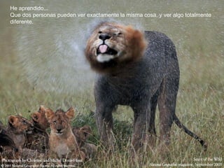 He aprendido...
Que dos personas pueden ver exactamente la misma cosa, y ver algo totalmente
diferente.
 