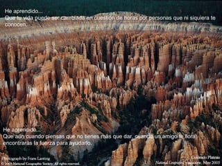 He aprendido...
Que tu vida puede ser cambiada en cuestión de horas por personas que ni siquiera te
conocen.




He aprendido...
Que aún cuando piensas que no tienes más que dar, cuando un amigo te llora,
encontrarás la fuerza para ayudarlo.
 