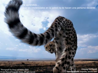 He aprendido...
Que las credenciales en la pared no te hacen una persona decente.
 