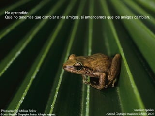 He aprendido...
Que no tenemos que cambiar a los amigos, si entendemos que los amigos cambian.
 