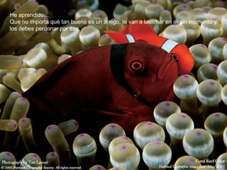 He aprendido...
Que no importa qué tan bueno es un amigo, te van a lastimar en algún momento y
los debes perdonar por eso.
 