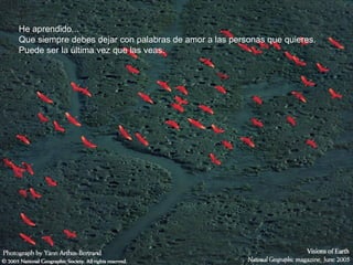 He aprendido...
Que siempre debes dejar con palabras de amor a las personas que quieres.
Puede ser la última vez que las veas.
 