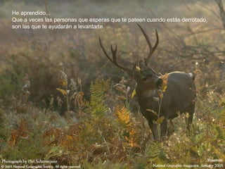 He aprendido...
Que a veces las personas que esperas que te pateen cuando estás derrotado,
son las que te ayudarán a levantarte.
 