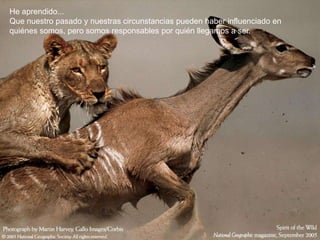 He aprendido...
Que nuestro pasado y nuestras circunstancias pueden haber influenciado en
quiénes somos, pero somos responsables por quién llegamos a ser.
 