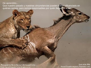 He aprendido... Que nuestro pasado y nuestras circunstancias pueden haber influenciado en quiénes somos, pero somos responsables por quién llegamos a ser.  