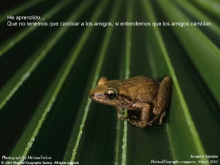 He aprendido... Que no tenemos que cambiar a los amigos, si entendemos que los amigos cambian. 