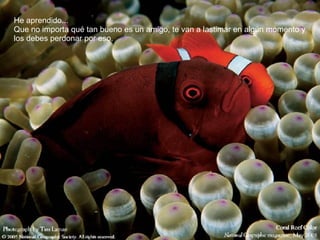 He aprendido...  Que no importa qué tan bueno es un amigo, te van a lastimar en algún momento y los debes perdonar por eso. 