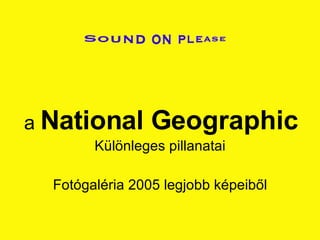 a  National Geographic Különleges pillanatai Fotógaléria 2005 legjobb képeiből 