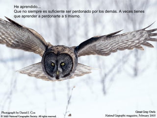 He aprendido... Que no siempre es suficiente ser perdonado por los demás. A veces tienes que aprender a perdonarte a ti mismo. 