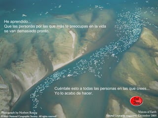 He aprendido... Que las personas por las que más te preocupas en la vida se van demasiado pronto.  Cuéntale esto a todas las personas en las que crees... Yo lo acabo de hacer.  